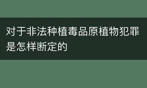 对于非法种植毒品原植物犯罪是怎样断定的
