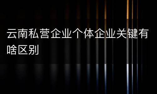云南私营企业个体企业关键有啥区别