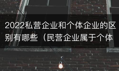 2022私营企业和个体企业的区别有哪些（民营企业属于个体经济还是私营经济）