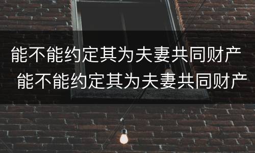 能不能约定其为夫妻共同财产 能不能约定其为夫妻共同财产