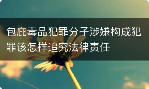 包庇毒品犯罪分子涉嫌构成犯罪该怎样追究法律责任