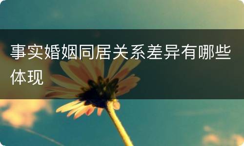 事实婚姻同居关系差异有哪些体现