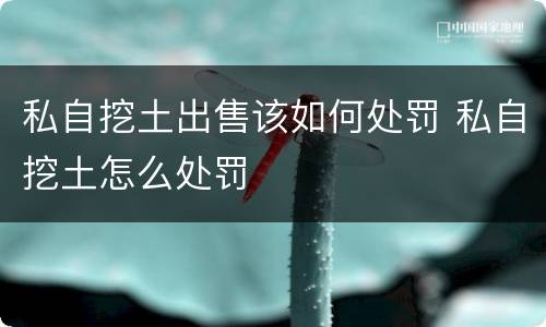 私自挖土出售该如何处罚 私自挖土怎么处罚