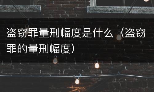 盗窃罪量刑幅度是什么（盗窃罪的量刑幅度）