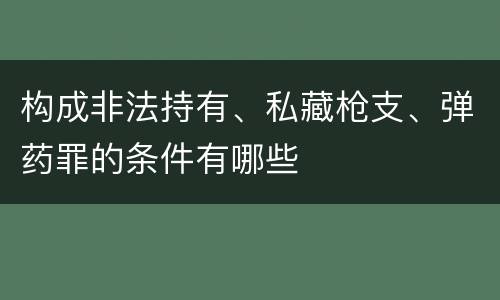构成非法持有、私藏枪支、弹药罪的条件有哪些