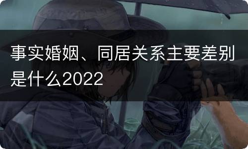 事实婚姻、同居关系主要差别是什么2022
