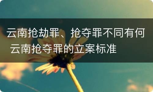 云南抢劫罪、抢夺罪不同有何 云南抢夺罪的立案标准