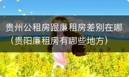 贵州公租房跟廉租房差别在哪（贵阳廉租房有哪些地方）