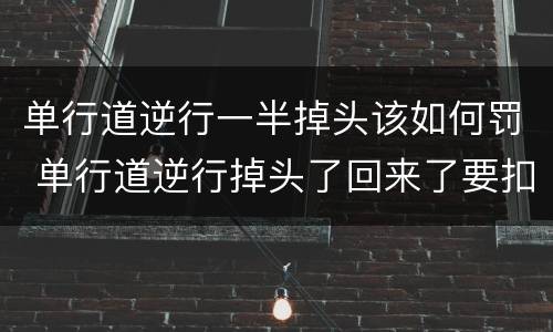 单行道逆行一半掉头该如何罚 单行道逆行掉头了回来了要扣分吗