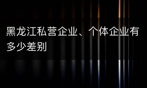 黑龙江私营企业、个体企业有多少差别
