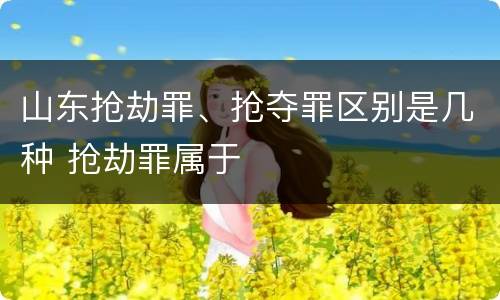 山东抢劫罪、抢夺罪区别是几种 抢劫罪属于