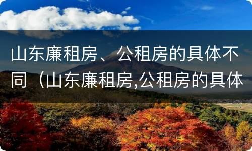 山东廉租房、公租房的具体不同（山东廉租房,公租房的具体不同点）