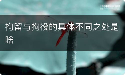 拘留与拘役的具体不同之处是啥