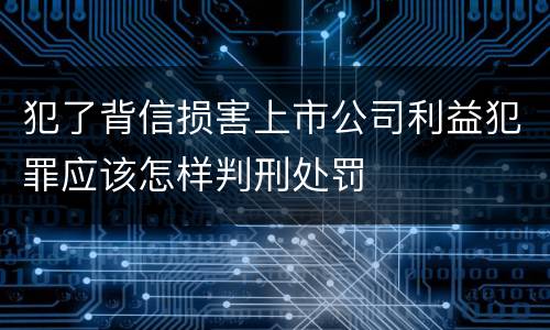 犯了背信损害上市公司利益犯罪应该怎样判刑处罚
