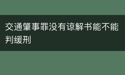 交通肇事罪没有谅解书能不能判缓刑