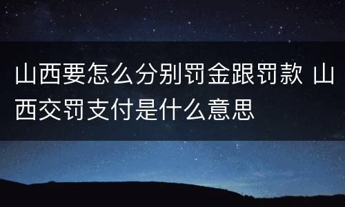山西要怎么分别罚金跟罚款 山西交罚支付是什么意思