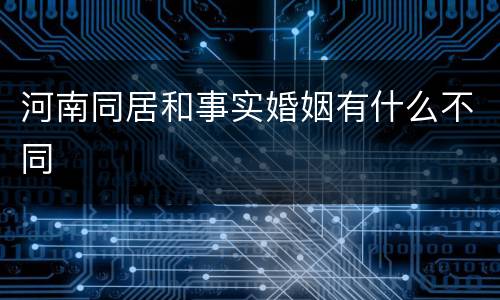 河南同居和事实婚姻有什么不同