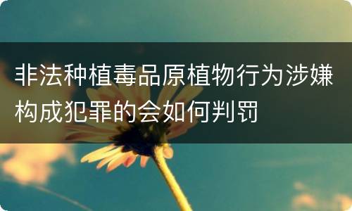 非法种植毒品原植物行为涉嫌构成犯罪的会如何判罚