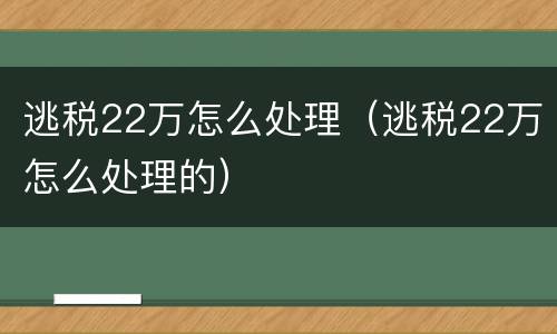 逃税22万怎么处理（逃税22万怎么处理的）