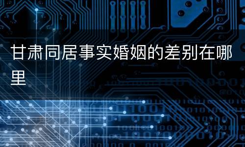 甘肃同居事实婚姻的差别在哪里