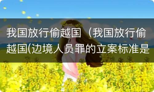 我国放行偷越国（我国放行偷越国(边境人员罪的立案标准是怎么规定）