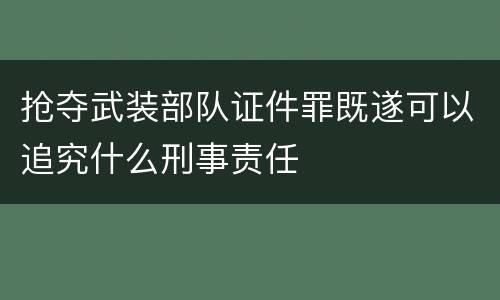 抢夺武装部队证件罪既遂可以追究什么刑事责任