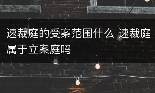 速裁庭的受案范围什么 速裁庭属于立案庭吗