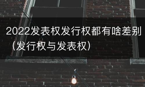 2022发表权发行权都有啥差别（发行权与发表权）