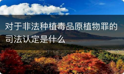 对于非法种植毒品原植物罪的司法认定是什么