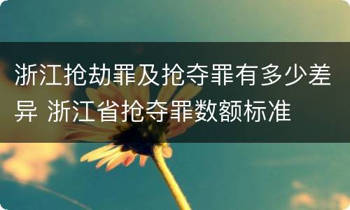 浙江抢劫罪及抢夺罪有多少差异 浙江省抢夺罪数额标准