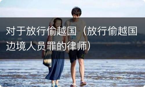 对于放行偷越国（放行偷越国边境人员罪的律师）