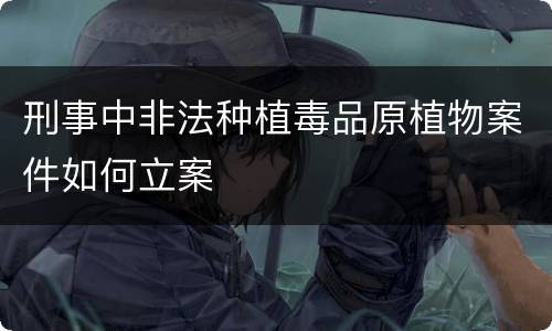 刑事中非法种植毒品原植物案件如何立案