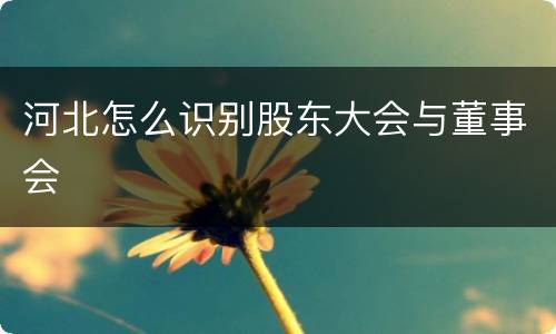 河北怎么识别股东大会与董事会