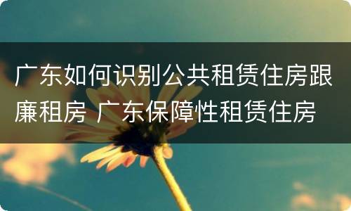 广东如何识别公共租赁住房跟廉租房 广东保障性租赁住房