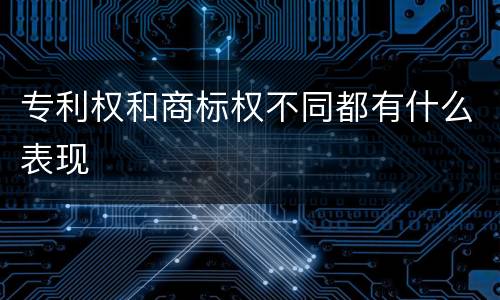 专利权和商标权不同都有什么表现