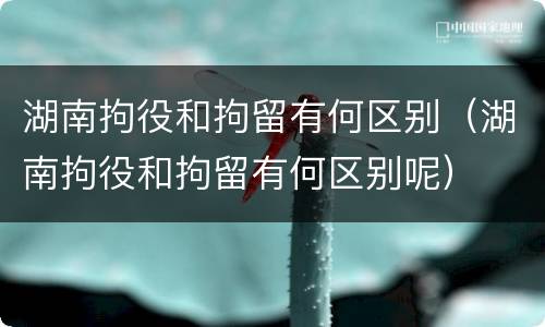 湖南拘役和拘留有何区别（湖南拘役和拘留有何区别呢）
