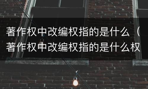 著作权中改编权指的是什么（著作权中改编权指的是什么权利）
