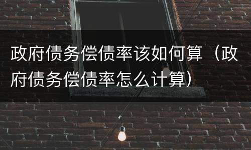 政府债务偿债率该如何算（政府债务偿债率怎么计算）