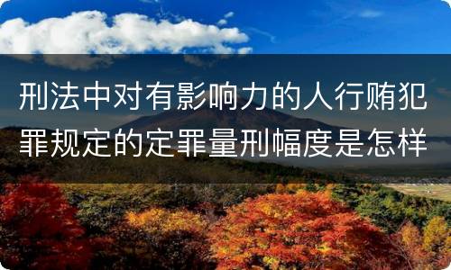 刑法中对有影响力的人行贿犯罪规定的定罪量刑幅度是怎样的