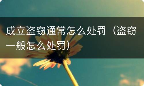 成立盗窃通常怎么处罚（盗窃一般怎么处罚）