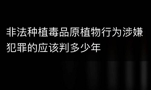 非法种植毒品原植物行为涉嫌犯罪的应该判多少年