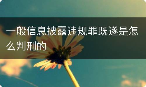 一般信息披露违规罪既遂是怎么判刑的