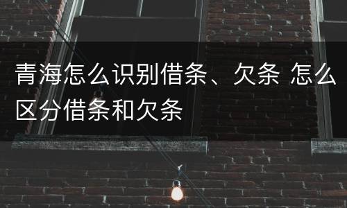 青海怎么识别借条、欠条 怎么区分借条和欠条