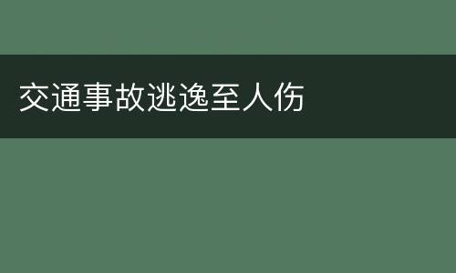 交通事故逃逸至人伤