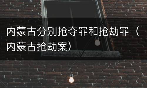 内蒙古分别抢夺罪和抢劫罪（内蒙古抢劫案）