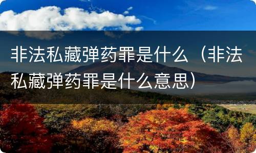 非法私藏弹药罪是什么（非法私藏弹药罪是什么意思）
