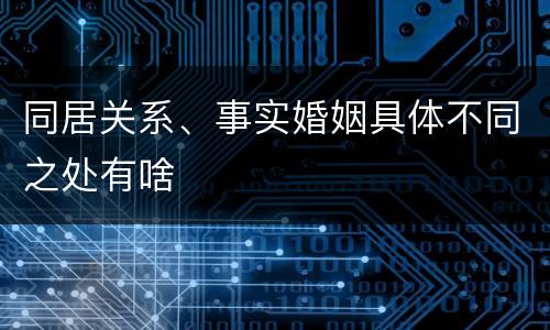 同居关系、事实婚姻具体不同之处有啥