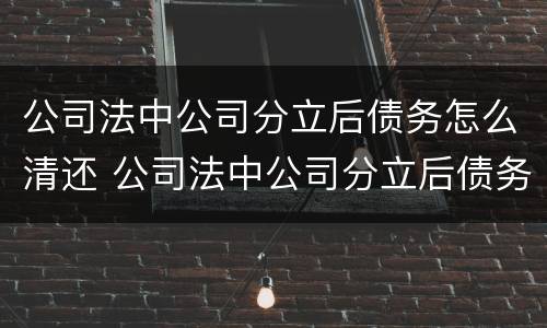 公司法中公司分立后债务怎么清还 公司法中公司分立后债务怎么清还