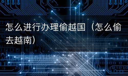 怎么进行办理偷越国（怎么偷去越南）