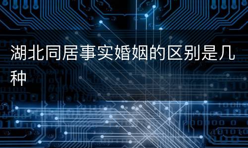 湖北同居事实婚姻的区别是几种